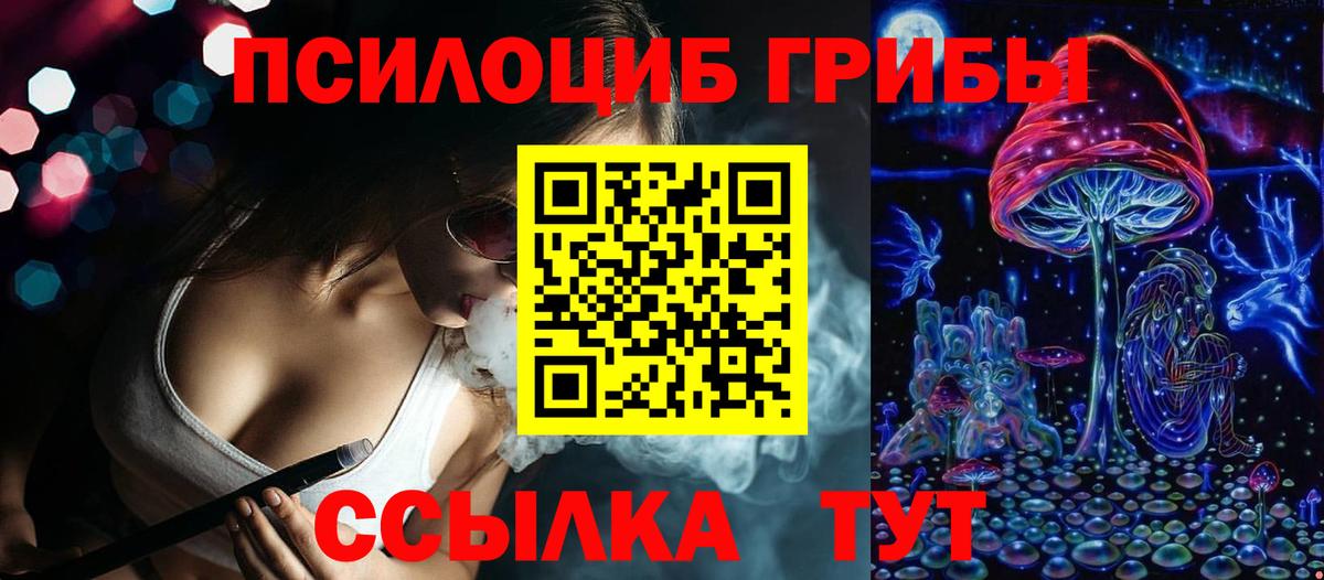 Псилоцибиновые грибы Psilocybine cubensis Вичуга
