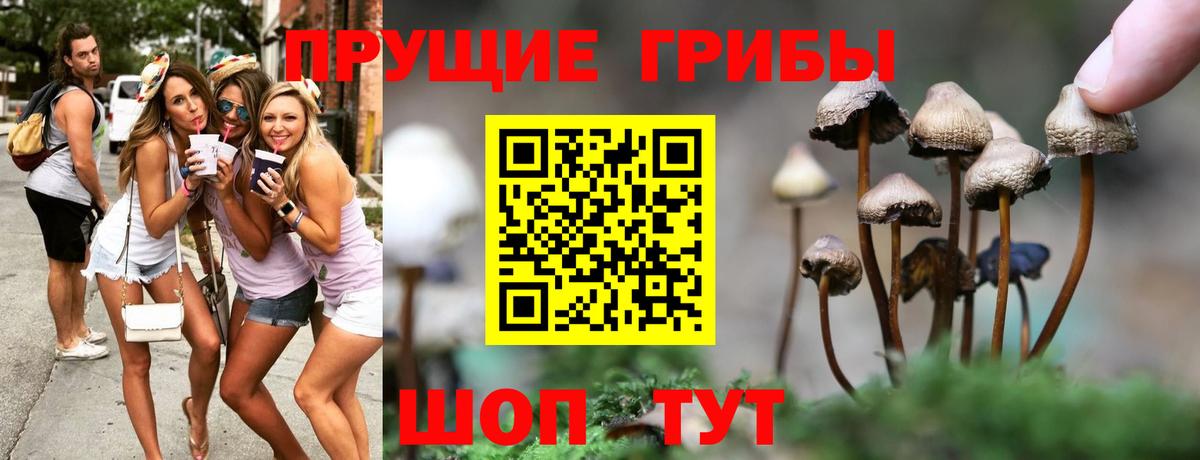 Галлюциногенные грибы прущие грибы  Вход с VPN  где купить наркоту  Вичуга 